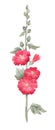Beautiful image with watercolor summer red mallow flower painting. Stock illustration.