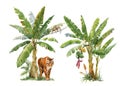 Beautiful image with watercolor tropical palms and jungle animal tiger. Stock illustration.