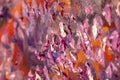 Beautiful impressionism abstract flower painting close-up macro