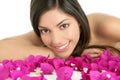 Beautiful indian and bougainvillea flowers Royalty Free Stock Photo