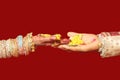 Beautiful Indian Hindu Dulha and Dulhan hand.Indian Hindu wedding