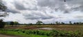 Beautiful Indian monsoon countryside landscape with clouds and paddy fields Royalty Free Stock Photo