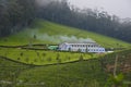 Beautiful Indian Tea factory Royalty Free Stock Photo