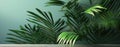 Beautiful indoor palm plant.House decoration.. Banner.Generative AI.