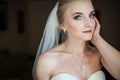 Beautiful innocent blonde bride with blue eyes posing, face closeup Royalty Free Stock Photo