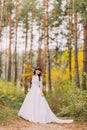 Beautiful innocent young brunette bride in gorgeous white dress stands on forest trail Royalty Free Stock Photo