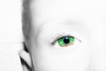 A beautiful insightful look boy eye. Close up shot Royalty Free Stock Photo