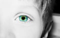 A beautiful insightful look boy eye. Close up shot. Royalty Free Stock Photo