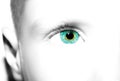 A beautiful insightful look boy eye. Close up shot Royalty Free Stock Photo