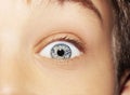 A beautiful insightful look boy`s eye. Close up shot. Royalty Free Stock Photo