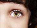 A beautiful insightful look boy`s eye. Close up shot. Royalty Free Stock Photo