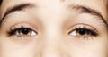 A beautiful insightful look boy`s eye. Close up shot. Royalty Free Stock Photo