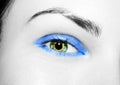 A beautiful insightful look eye. Close up shot Royalty Free Stock Photo