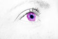 A beautiful insightful look eye. Close up shot Royalty Free Stock Photo