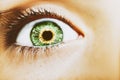A beautiful insightful look eye. Close up shot Royalty Free Stock Photo