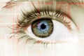 A beautiful insightful look eye. Close up shot Royalty Free Stock Photo