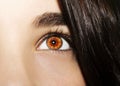 A beautiful insightful look girl`s eye. Close up shot. Royalty Free Stock Photo