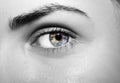 A beautiful insightful look girl`s eye. Close up shot. Royalty Free Stock Photo