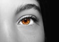 A beautiful insightful look girl`s eye. Close up shot. Royalty Free Stock Photo