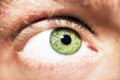 A beautiful insightful look man`s eye. Close up shot Royalty Free Stock Photo