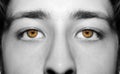 A beautiful insightful look man`s eye. Close up shot. Royalty Free Stock Photo