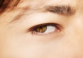 A beautiful insightful look man`s eye. Close up shot. Royalty Free Stock Photo