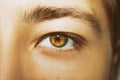 A beautiful insightful look man`s eye. Close up shot. Royalty Free Stock Photo