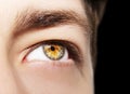 A beautiful insightful look man`s eye. Close up shot. Royalty Free Stock Photo