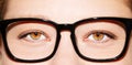 A beautiful insightful look woman`s eye. Woman wearing glasses. Close-up shot Royalty Free Stock Photo