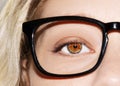 A beautiful insightful look woman`s eye. Woman wearing glasses. Close-up shot Royalty Free Stock Photo