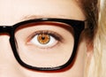 A beautiful insightful look woman`s eye. Woman wearing glasses. Close-up shot Royalty Free Stock Photo