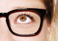 A beautiful insightful look woman`s eye. Woman wearing glasses. Close-up shot Royalty Free Stock Photo