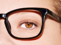 A beautiful insightful look woman`s eye. Woman wearing glasses. Close-up shot Royalty Free Stock Photo