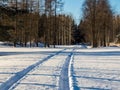 Beautiful and inspiring winter landscape of snowy field and trees covered with snow and single car tracks