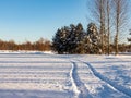 Beautiful and inspiring winter landscape of snowy field and trees covered with snow and single car tracks