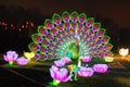 Beautiful installation of giant peacock illuminated by many lanterns.