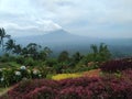 Beautiful and interesting scenery on Tomohon Hill Royalty Free Stock Photo