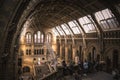 Beautiful interior shot of London National Museum with a view of the sun falling threw the roof