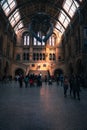 Beautiful interior shot of London National Museum with a view of the sun falling threw the roof