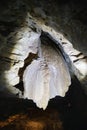 Beautiful interior of Waitomo Caves