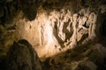 Beautiful interior of Waitomo Caves