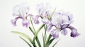 Beautiful Iris Watercolour Illustration With Yucca Tree