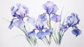 Beautiful Iris Watercolour Illustration With Yucca Tree