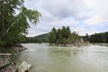Beautiful Island in the middle of a mountain river Katun. Royalty Free Stock Photo
