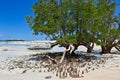 The beautiful island of Nosy Iranja Madagascar