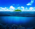 Beautiful island with palm trees in the ocean. Underwater