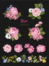 Beautiful isolated pink flowers on the white background. Set of different floral design elements Royalty Free Stock Photo