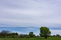 Beautiful isolated tree in the early spring sunshine. Royalty Free Stock Photo