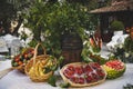 Beautiful Italian garden feast table with fruit and vegetables Royalty Free Stock Photo