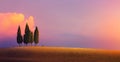 Beautiful Italy nature countryside landscape; farm field and cypress trees over sunset sky Royalty Free Stock Photo